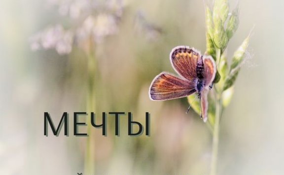 RW Музыкальная терапия для всех – Мечты – Сны, mузыкальная терапия, йога и расслабление, внимательность, хороший и спокойный сон, музыка для лучшей концентрации, звуки антистресса – 2021【Q】【44.1kHz / 24bit】