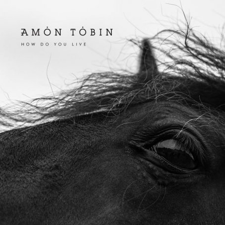 Amon Tobin – How Do You Live – 2021【Q】【48kHz / 24bit】