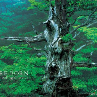 再生 (Re Born) (5.6MHz DSD)【S】