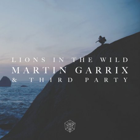 Martin Garrix – Lions in the Wild – 2016【Q】【44.1kHz / 24bit】