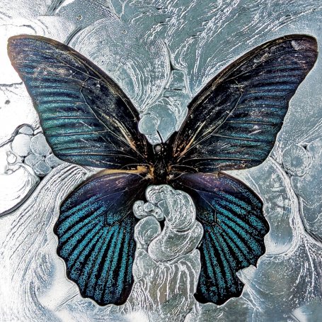 Shygirl-Nymph【Q】【44.1kHz / 24bit】