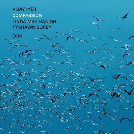 Vijay Iyer-Compassion【Q】【96kHz / 24bit】