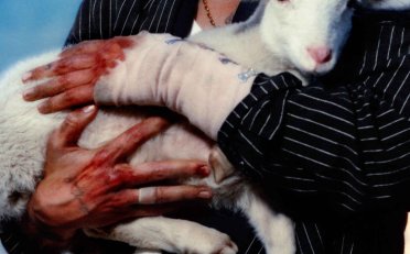 LANY-Soft【Q】【48kHz / 24bit】